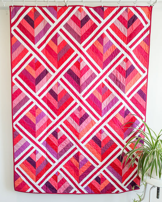 Grow Wild Wholesale (Set of 6)