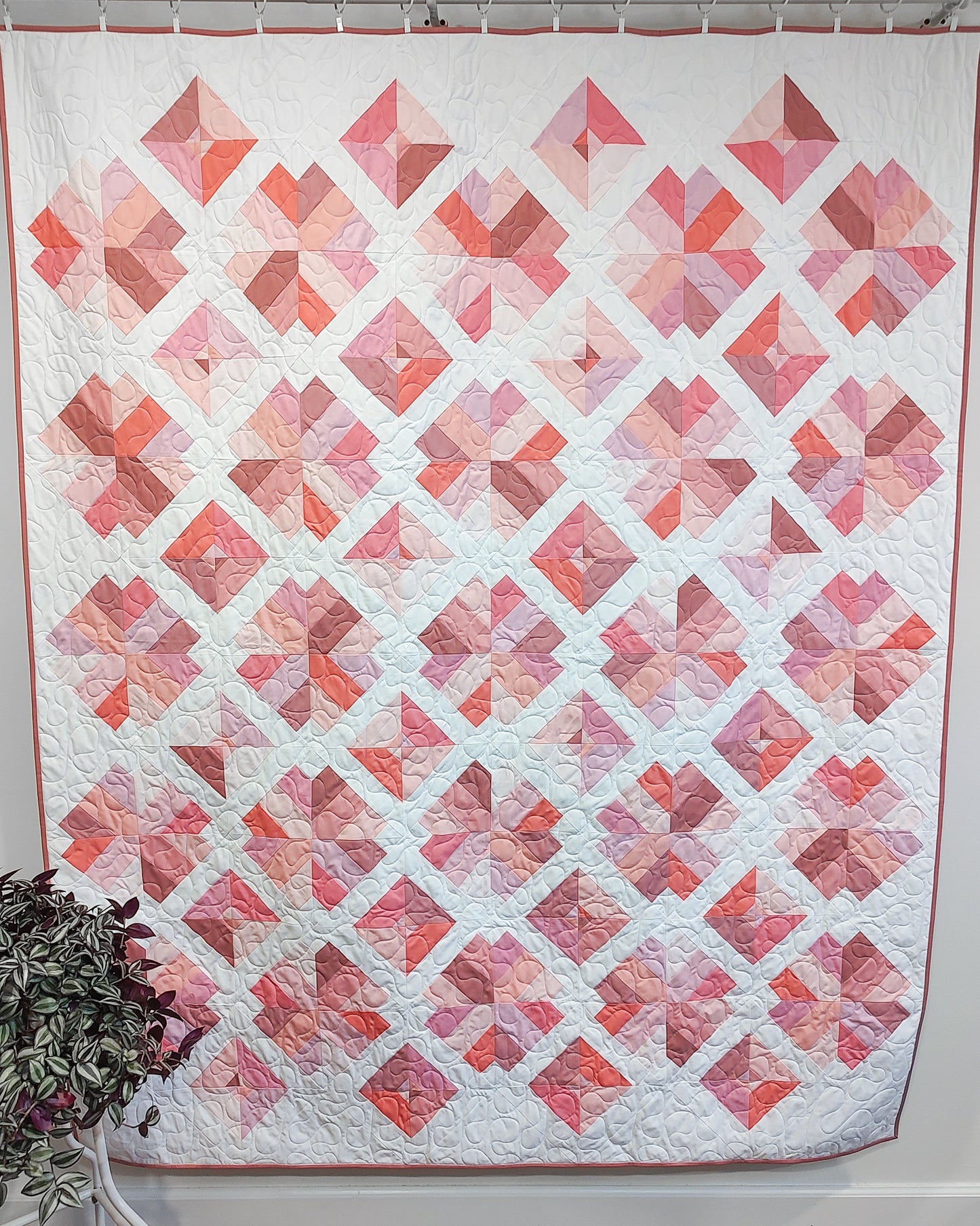 Wild Soul Wholesale (Set of 6)