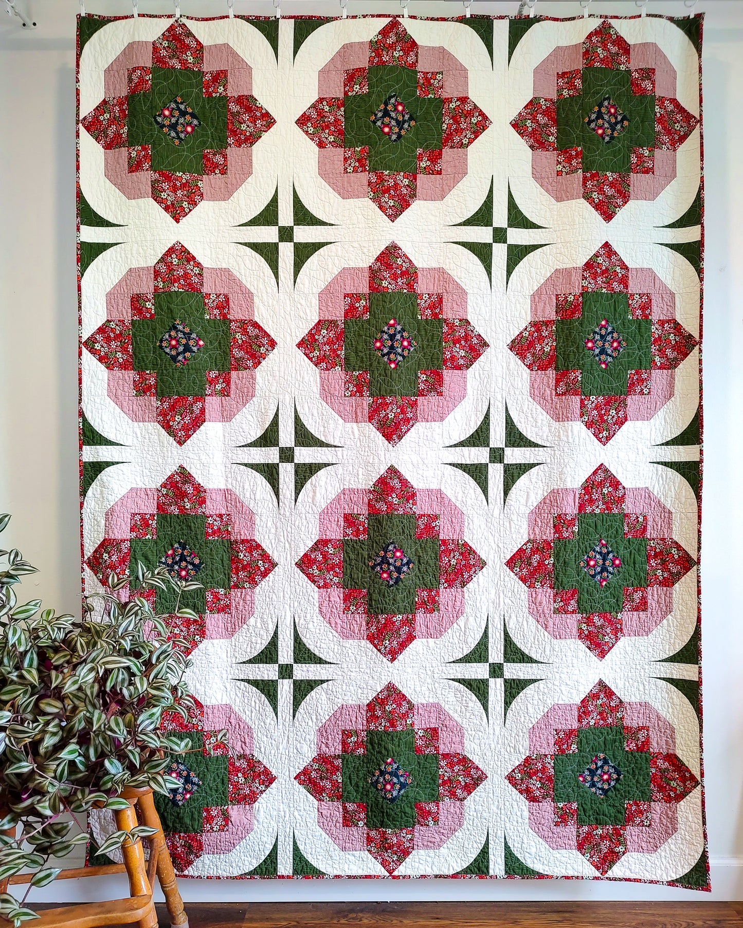 Southern Amaryllis Wholesale (Set of 6)