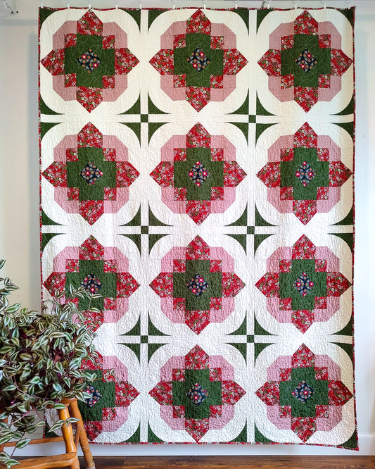 Southern Amaryllis Wholesale (Set of 6)