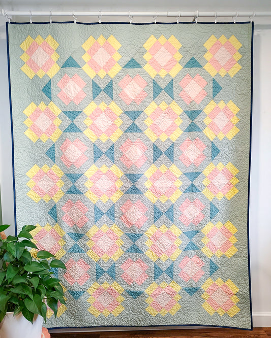 Buttercup Wholesale (Set of 6)