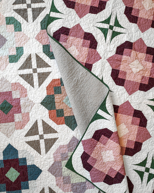 Southern Amaryllis Wholesale (Set of 6)